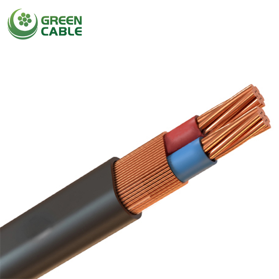 Cable Concéntrico - Mercado de Dominica Cable Concéntrico